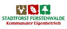 Domstadt Fürstenwalde